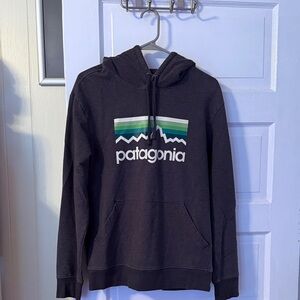 Patagonia Grey Hoodie with Green and Blue Accents
